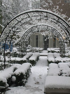 Herengracht 500, sneeuw in de tuin
